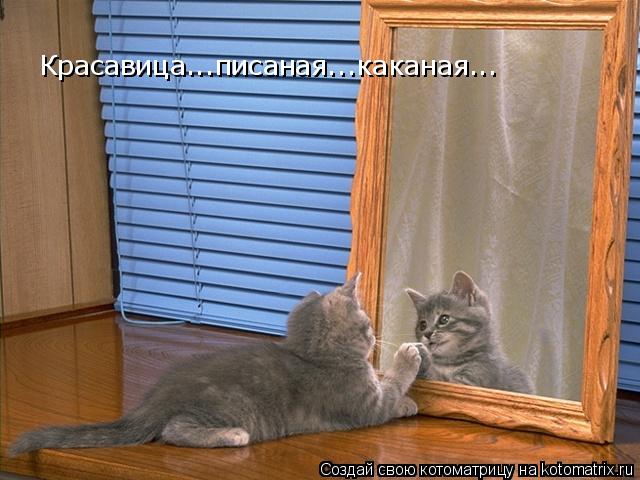Красавица...писаная...каканая...... Котоматрица: Красавица...писаная...каканая...