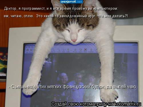 Доктор, я программист, и я все время провожу за компьютером: ем, читаю, сплю. Это какой-то заколдова... Котоматрица: Доктор, я программист, и я все время провожу за компьютером: ем, читаю, сплю. Это какой-то заколдованный круг. Что мне делать?! - Съешь ещё этих