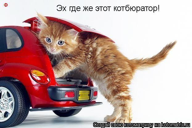 Котоматрица: Эх где же этот котбюратор!