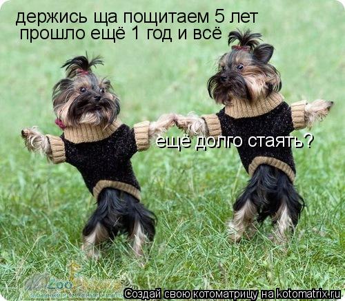 Котоматрица: держись ща пощитаем 5 лет   прошло ещё 1 год и всё ещё долго стаять?