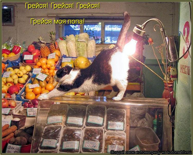Котоматрица: Грейся! Грейся! Грейся! Грейся моя попа!