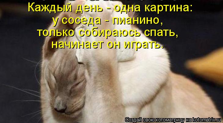 Каждый день - одна картина: у соседа - пианино, только собираюсь спать, начинает он играть.... Котоматрица: Каждый день - одна картина: у соседа - пианино, только собираюсь спать, начинает он играть.