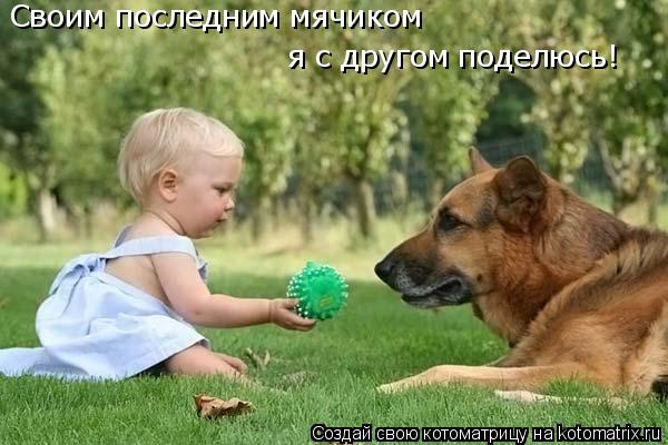 Котоматрица: Своим последним мячиком  я с другом поделюсь!