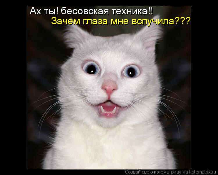 Ах ты! бесовская техника!! Зачем глаза мне вспучила???... Котоматрица: Ах ты! бесовская техника!! Зачем глаза мне вспучила???