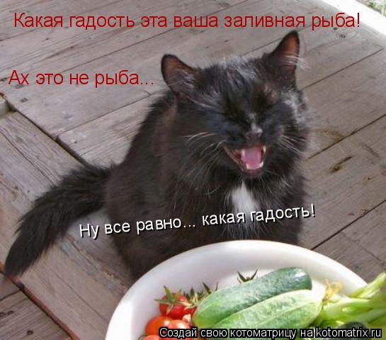 Котоматрица: Какая гадость эта ваша заливная рыба! Ах это не рыба... Ну все равно... какая гадость!