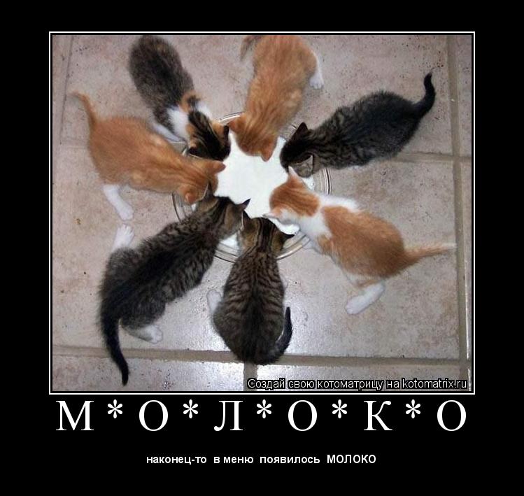 Котоматрица: М * О * Л * О * К * О 