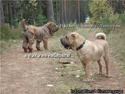 Я за месяц скинула 30 килограм... а я их и не набирала!...... Котоматрица: Я за месяц скинула 30 килограм... а я их и не набирала!...