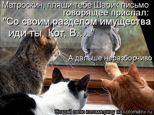 Котоматрица: Матроскин, пляши,тебе Шарик письмо А дальше неразборчиво говорящее прислал:  "Со своим разделом имущества иди ты, Кот, В....."