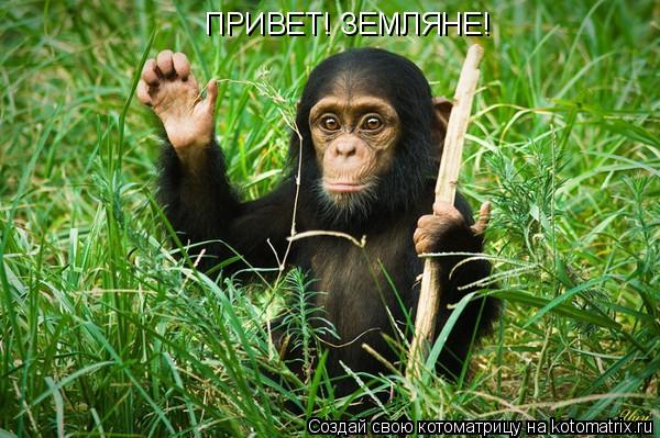 Котоматрица: ПРИВЕТ! ЗЕМЛЯНЕ!