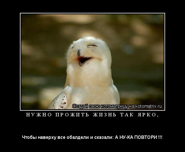 Котоматрица: Н У Ж Н О   П Р О Ж И Т Ь   Ж И З Н Ь   Т А К   Я Р К О , 