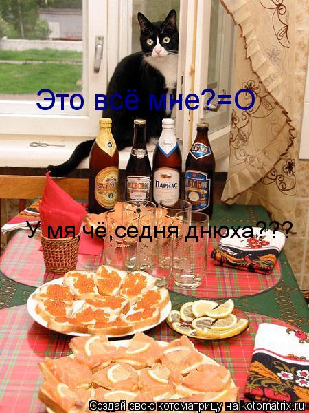 Котоматрица: Это всё мне?=О У мя,чё,седня днюха???