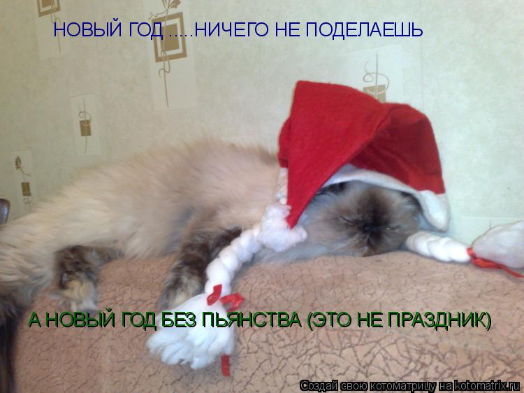Котоматрица: А НОВЫЙ ГОД БЕЗ ПЬЯНСТВА (ЭТО НЕ ПРАЗДНИК) НОВЫЙ ГОД .....НИЧЕГО НЕ ПОДЕЛАЕШЬ