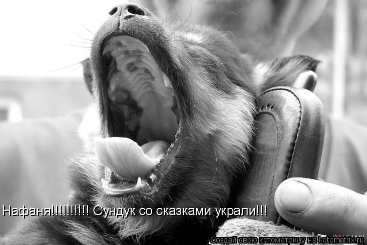 Нафаня!!!!!!!!!! Сундук со сказками украли!!!... Котоматрица: Нафаня!!!!!!!!!! Сундук со сказками украли!!!