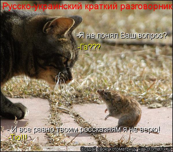 -Я не понял Ваш вопрос? -Га??? - И все равно твоим россказням я не верю! -Тю!!! Русско-украинский кра... Котоматрица: -Я не понял Ваш вопрос? -Га??? - И все равно твоим россказням я не верю! -Тю!!! Русско-украинский краткий разговорник