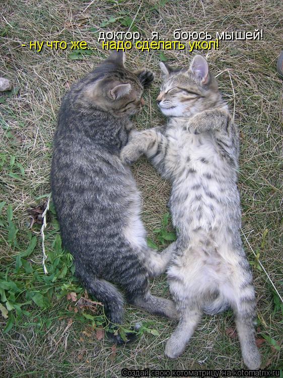 доктор...я... боюсь мышей! - ну что же... надо сделать укол!... Котоматрица: доктор...я... боюсь мышей! - ну что же... надо сделать укол!