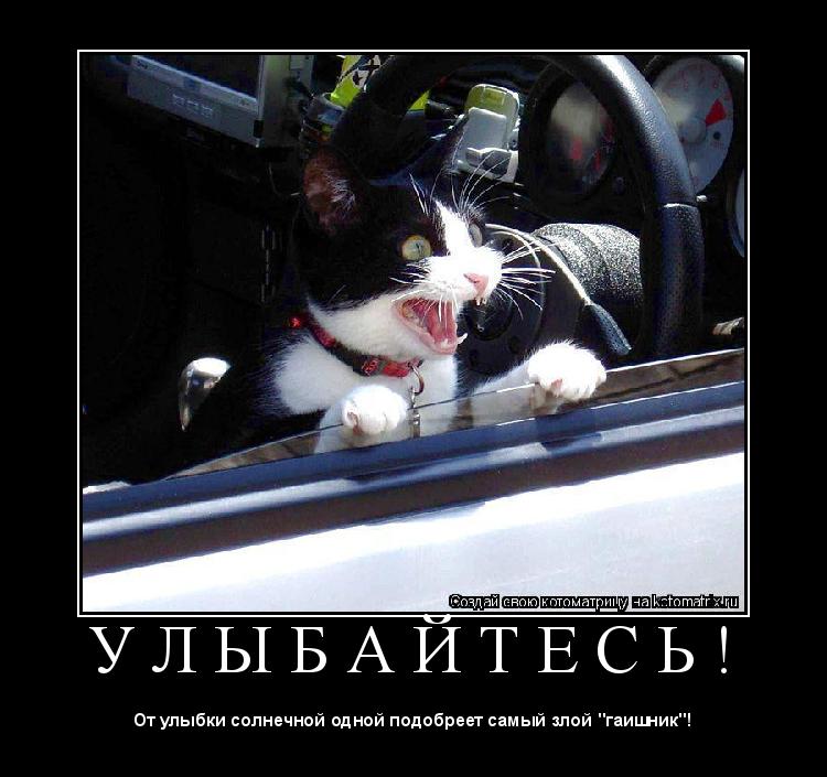 У Л Ы Б А Й Т Е С Ь ! ... Котоматрица: У Л Ы Б А Й Т Е С Ь !
