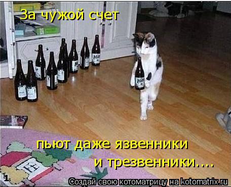 Котоматрица: За чужой счет  пьют даже язвенники  и трезвенники....