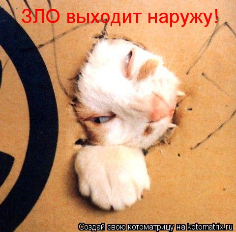 Котоматрица: ЗЛО выходит наружу!