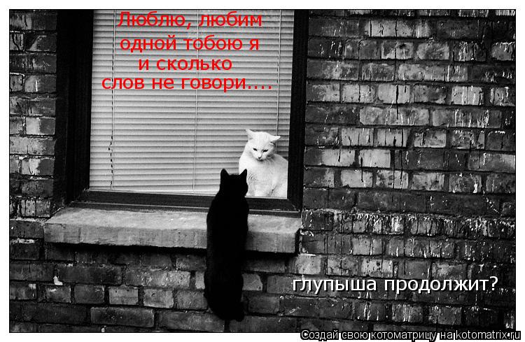 Котоматрица: Люблю, любим  одной тобою я и сколько слов не говори.... глупыша продолжит?