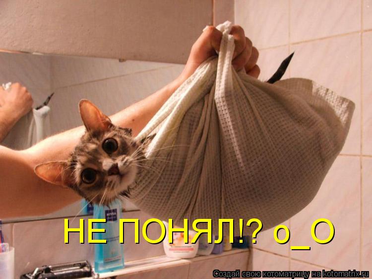 НЕ ПОНЯЛ!? о_О... Котоматрица: НЕ ПОНЯЛ!? о_О