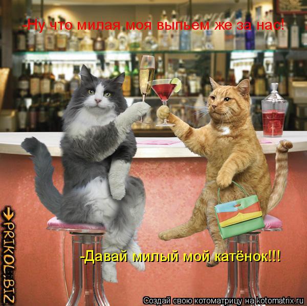 -Ну что милая моя выпьем же за нас! -Давай милый мой катёнок!!!... Котоматрица: -Ну что милая моя выпьем же за нас! -Давай милый мой катёнок!!!