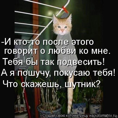 -И кто-то после этого говорит о любви ко мне. Тебя бы так подвесить! А я пошучу, покусаю тебя! Что ск... Котоматрица: -И кто-то после этого говорит о любви ко мне. Тебя бы так подвесить! А я пошучу, покусаю тебя! Что скажешь, шутник?