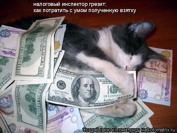 как потратить с умом полученную взятку налоговый инспектор грезит:... Котоматрица: как потратить с умом полученную взятку налоговый инспектор грезит: