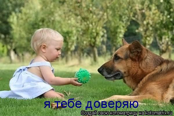 Котоматрица: я тебе доверяю