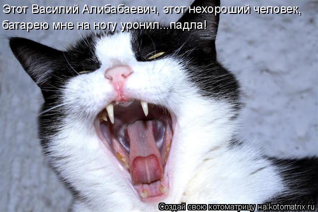 Этот Василий Алибабаевич, этот нехороший человек, батарею мне на ногу уронил...падла!... Котоматрица: Этот Василий Алибабаевич, этот нехороший человек, батарею мне на ногу уронил...падла!
