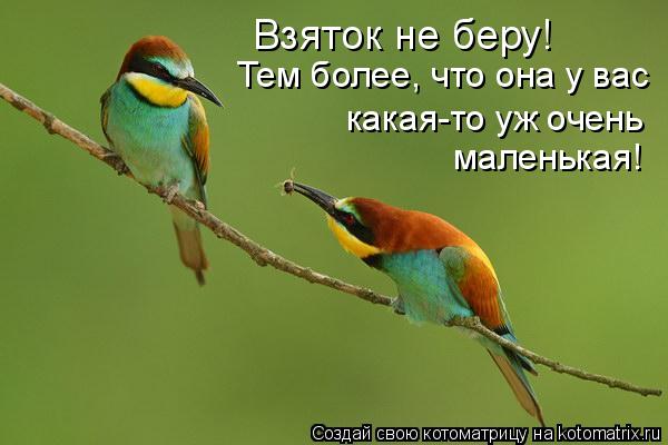 Взяток не беру! Тем более, что она у вас какая-то уж очень маленькая!... Котоматрица: Взяток не беру! Тем более, что она у вас какая-то уж очень маленькая!