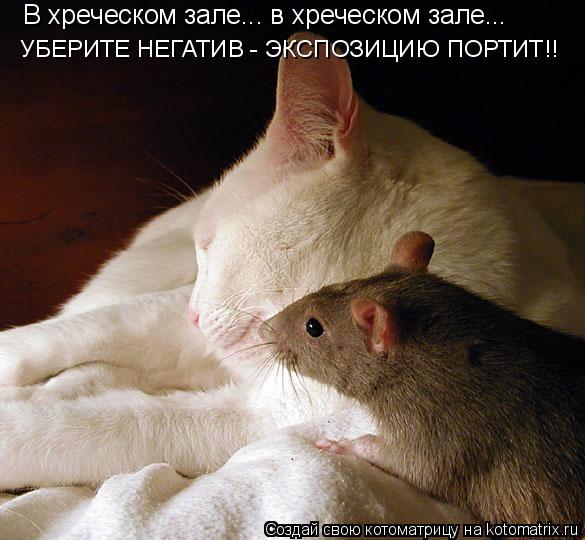 В хреческом зале... в хреческом зале... УБЕРИТЕ НЕГАТИВ - ЭКСПОЗИЦИЮ ПОРТИТ!!... Котоматрица: В хреческом зале... в хреческом зале... УБЕРИТЕ НЕГАТИВ - ЭКСПОЗИЦИЮ ПОРТИТ!!