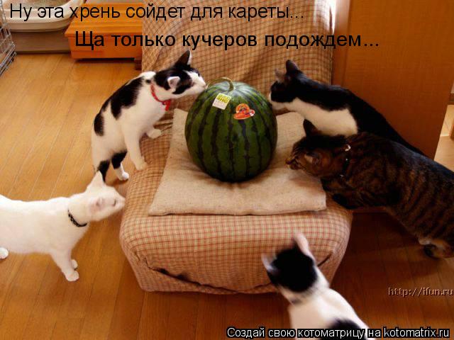 Ну эта хрень сойдет для кареты... Ща только кучеров подождем...... Котоматрица: Ну эта хрень сойдет для кареты... Ща только кучеров подождем...