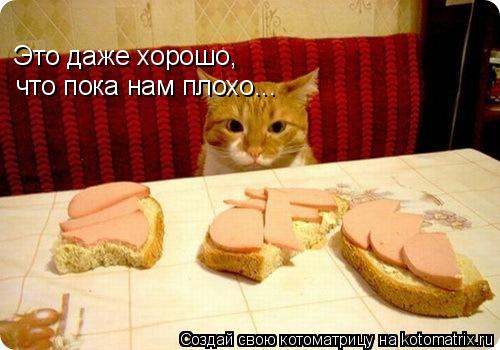 Котоматрица: Это даже хорошо,  что пока нам плохо...