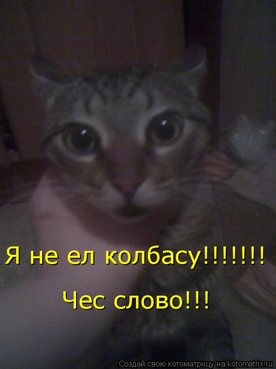 Котоматрица: Я не ел колбасу!!!!!!! Чес слово!!!
