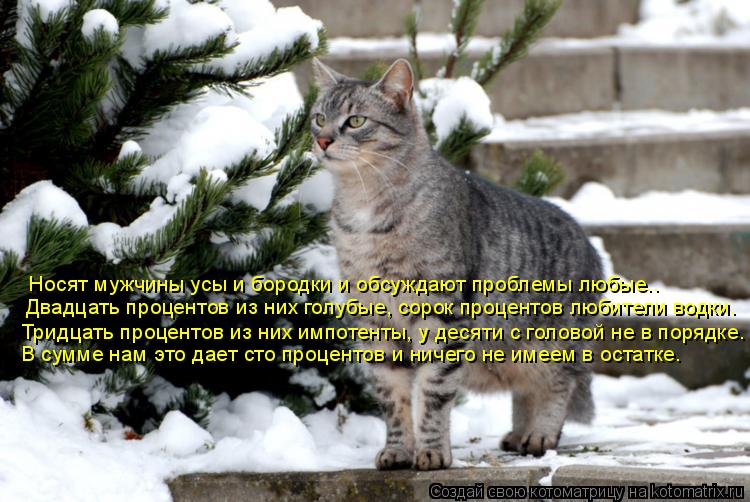 Носят мужчины усы и бородки и обсуждают проблемы любые.. Двадцать процентов из них голубые, сорок про... Котоматрица: Носят мужчины усы и бородки и обсуждают проблемы любые.. Двадцать процентов из них голубые, сорок процентов любители водки. Тридцать процен