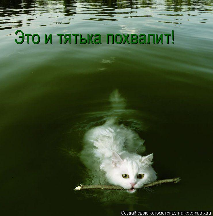 Котоматрица: Это и тятька похвалит!