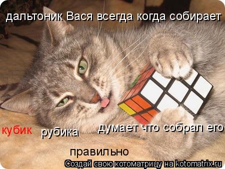 Котоматрица: дальтоник Вася всегда когда собирает   думает что собрал его кубик рубика  правильно