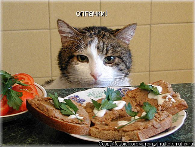 Котоматрица: оппачки!