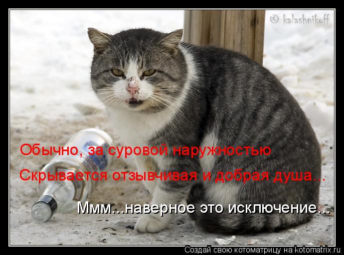 Котоматрица: Обычно, за суровой наружностью Скрывается отзывчивая и добрая душа... Ммм...наверное это исключение...