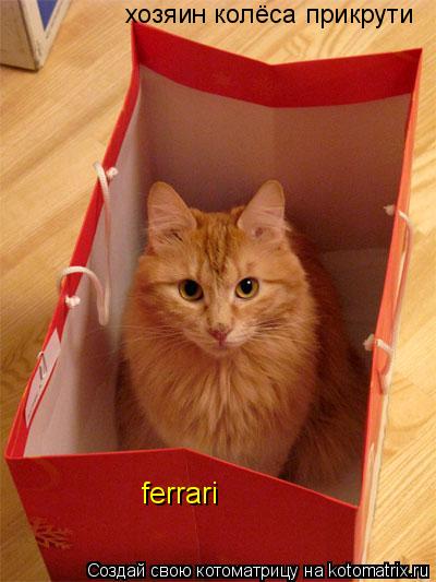 Котоматрица: ferrari хозяин колёса прикрути