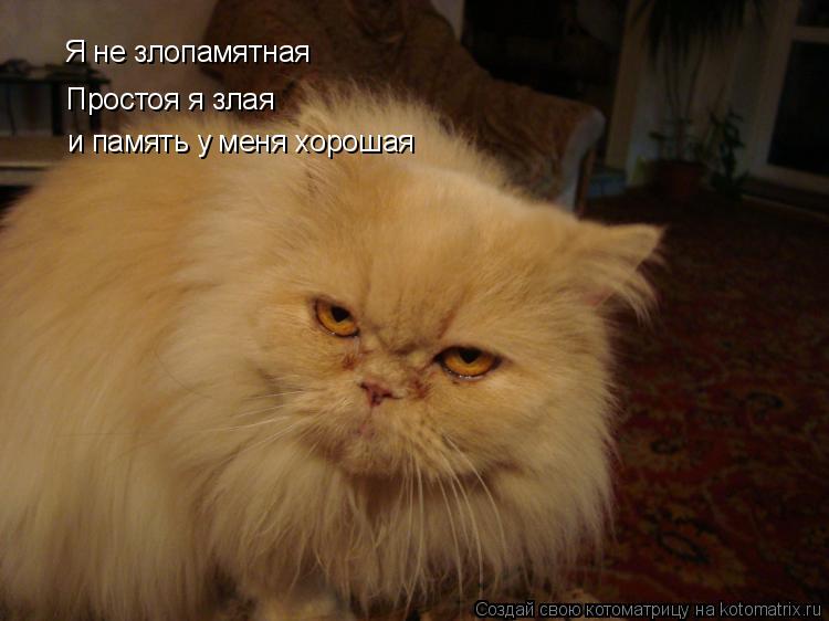 Котоматрица: Я не злопамятная Простоя я злая и память у меня хорошая
