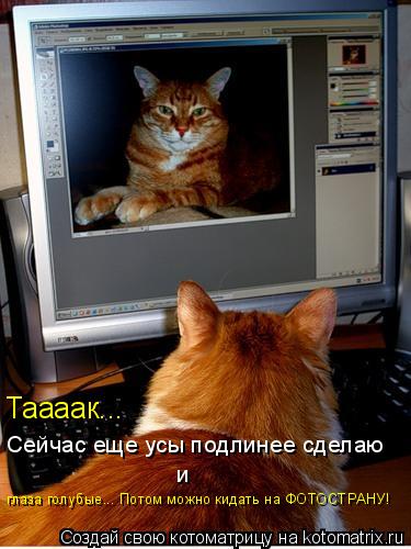 Котоматрица: Таааак... Сейчас еще усы подлинее сделаю и глаза голубые... Потом можно кидать на ФОТОСТРАНУ!