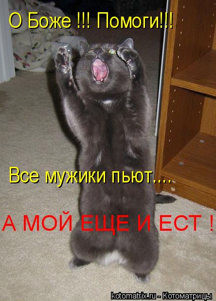 О Боже !!! Помоги!!! Все мужики пьют.... А МОЙ ЕЩЕ И ЕСТ !... Котоматрица: О Боже !!! Помоги!!! Все мужики пьют.... А МОЙ ЕЩЕ И ЕСТ !