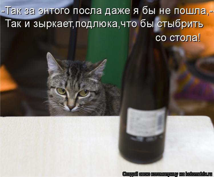 -Так за энтого посла даже я бы не пошла,-- Так и зыркает,подлюка,что бы стыбрить со стола!... Котоматрица: -Так за энтого посла даже я бы не пошла,-- Так и зыркает,подлюка,что бы стыбрить со стола!