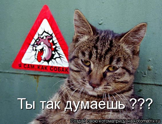 Котоматрица: Ты так думаешь ???
