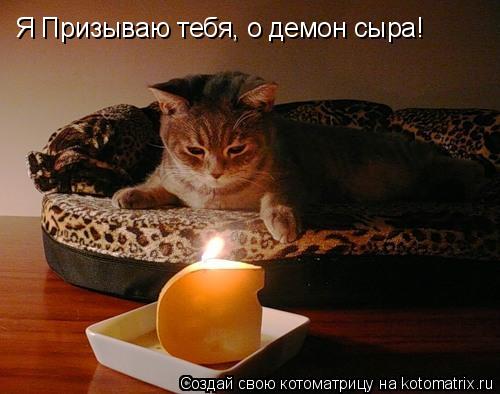 Котоматрица: Я Призываю тебя, о демон сыра!