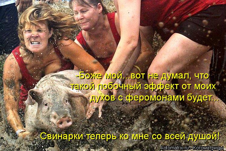 Котоматрица: -Боже мой...вот не думал, что такой побочный эффект от моих духов с феромонами будет... Свинарки теперь ко мне со всей душой!