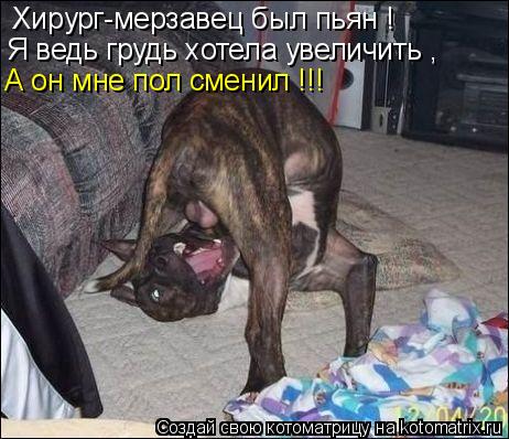 Хирург-мерзавец был пьян ! Я ведь грудь хотела увеличить , А он мне пол сменил !!!... Котоматрица: Хирург-мерзавец был пьян ! Я ведь грудь хотела увеличить , А он мне пол сменил !!!