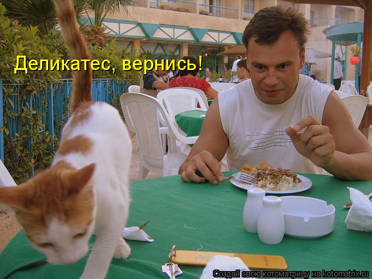 Деликатес, вернись!... Котоматрица: Деликатес, вернись!