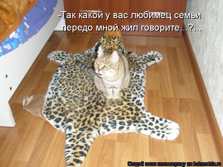 -Так какой у вас любимец семьи передо мной жил говорите...?...... Котоматрица: -Так какой у вас любимец семьи передо мной жил говорите...?...